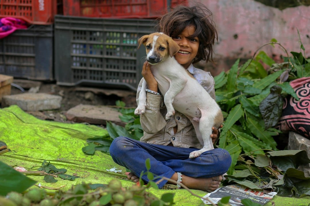 Happy child holding a cute puppy outdoors