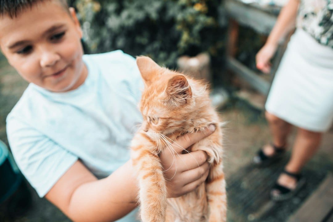 Young boy caring for a small orange cat